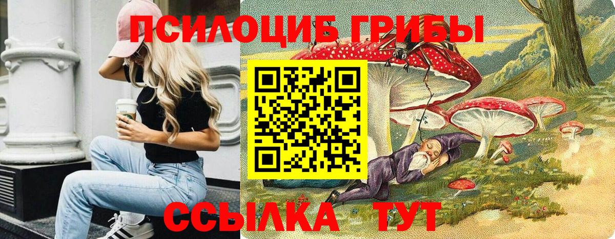 Псилоцибиновые грибы мицелий Бор