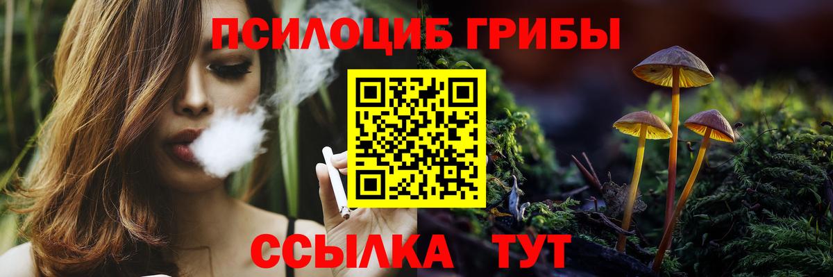 Галлюциногенные грибы Magic Shrooms  Псилоцибиновые грибы Cubensis  Бор  магазин  наркотиков  Вход с VPN 